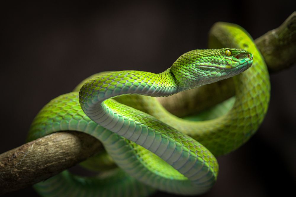 Photograph by Hoàng Nguyễn