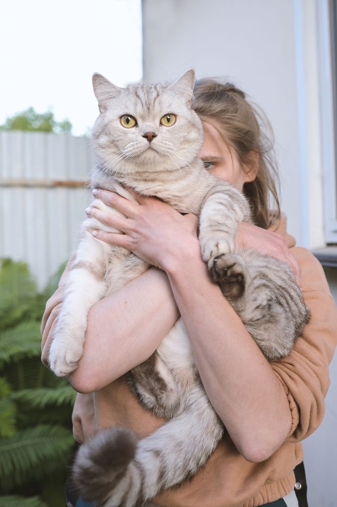 Photograph by Анна Новосельцева