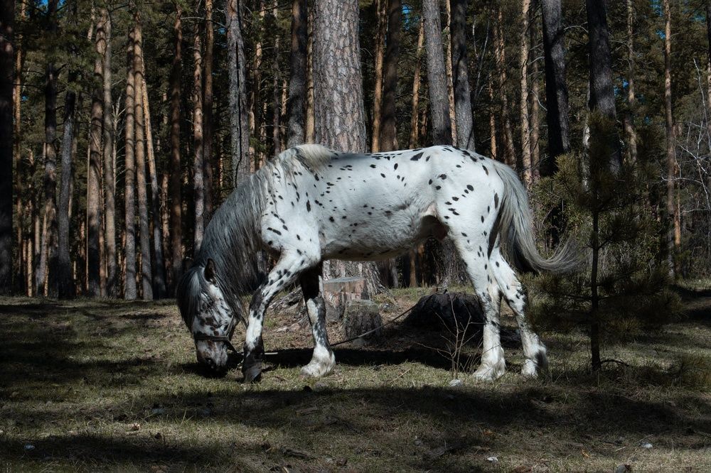 Photograph by Анна Новосельцева