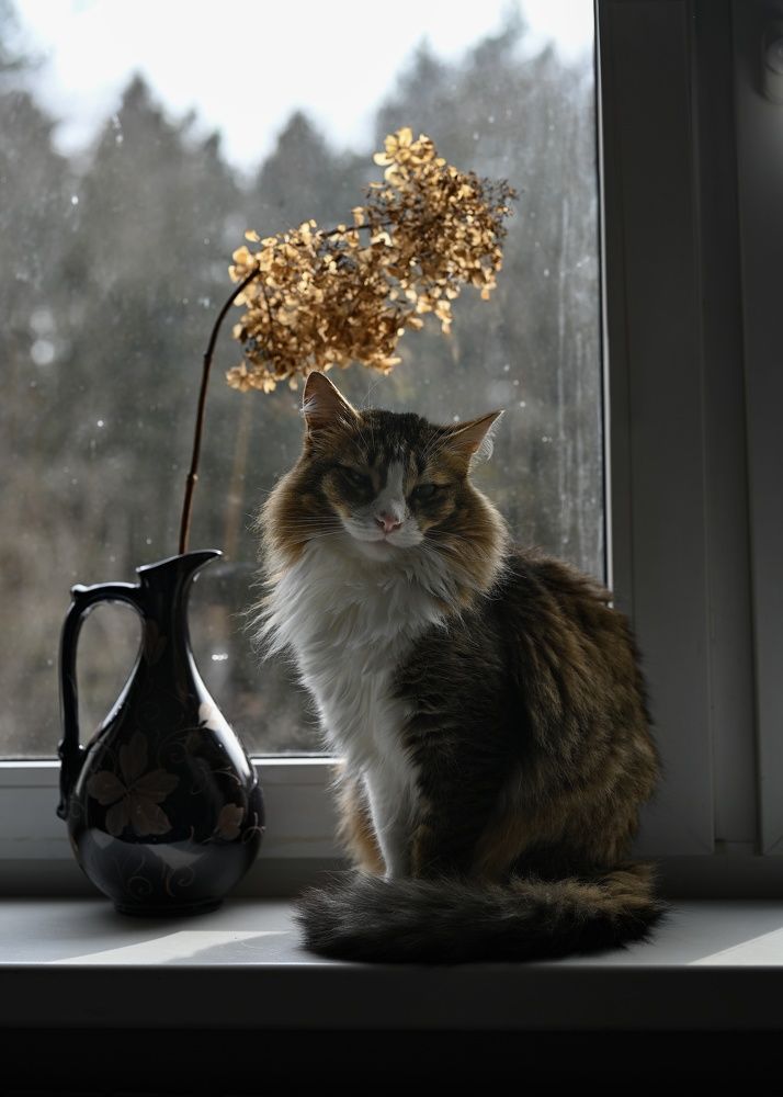 Photograph by Анна Новосельцева