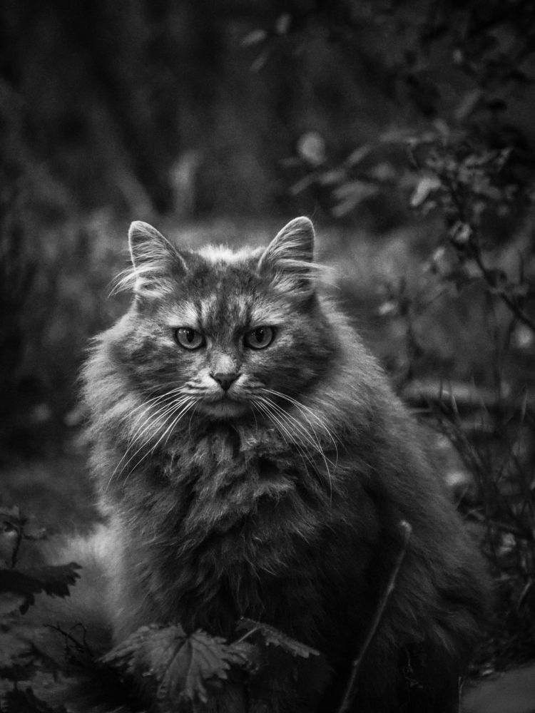 Photograph by Giorgi Akopjanov