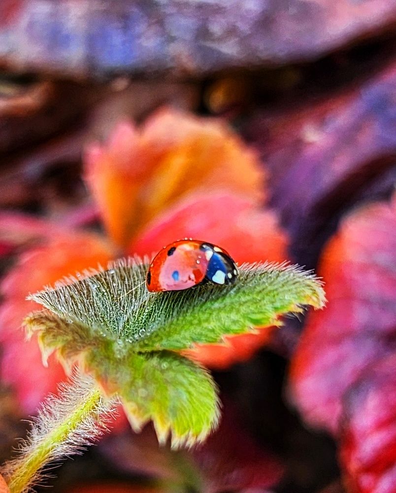 Фотография автора reyhane  khavaninzadeh