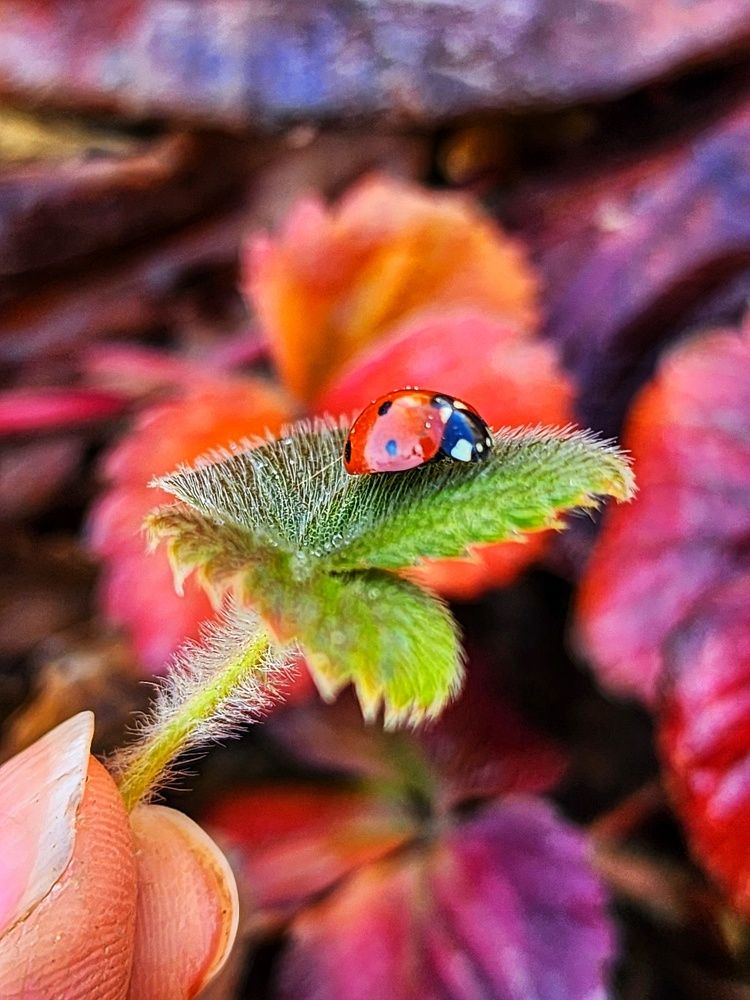 Фотография автора reyhane  khavaninzadeh