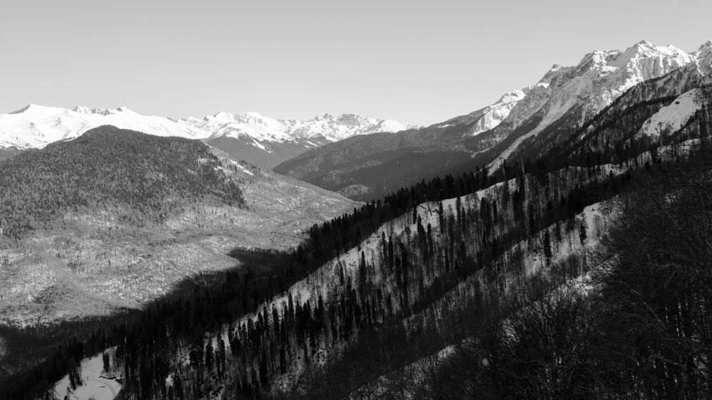 Фотография автора Вадим Коваленко