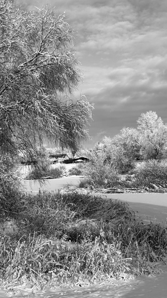 Photograph by Елена Гущина