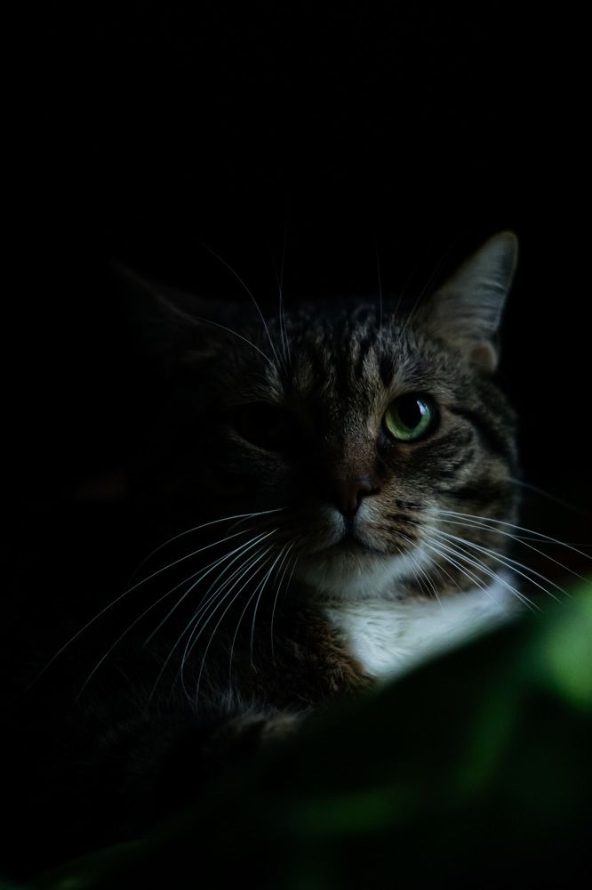 Photograph by Сергей Герасимов