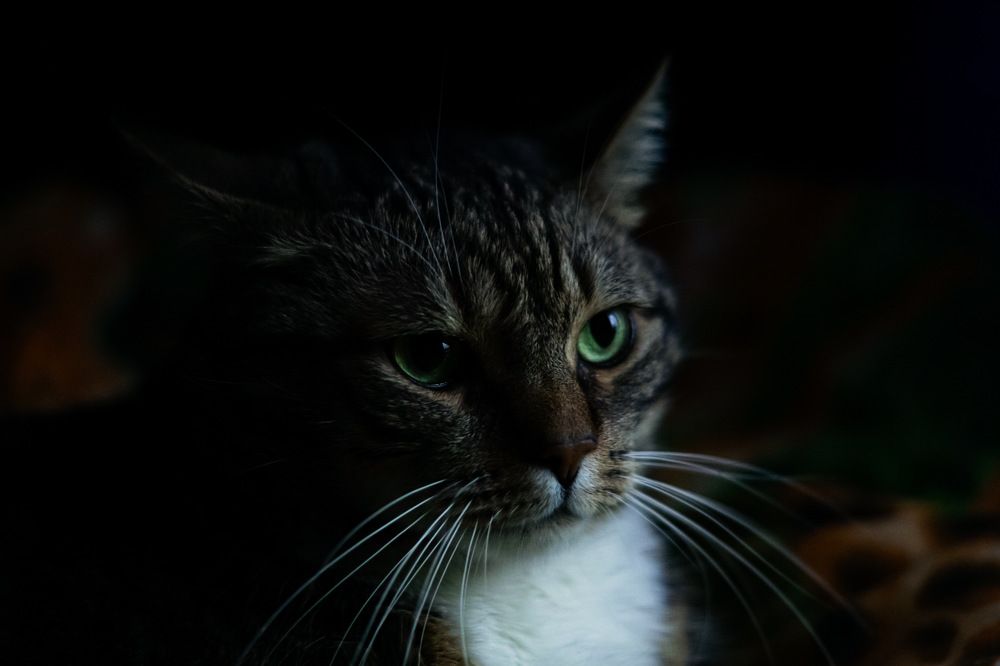 Photograph by Сергей Герасимов