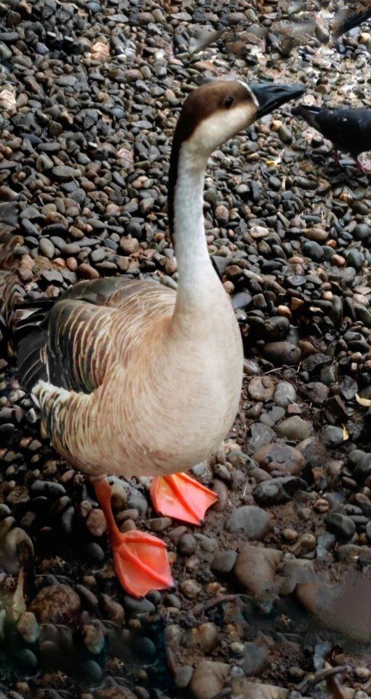 Photograph by Елена Бородулина