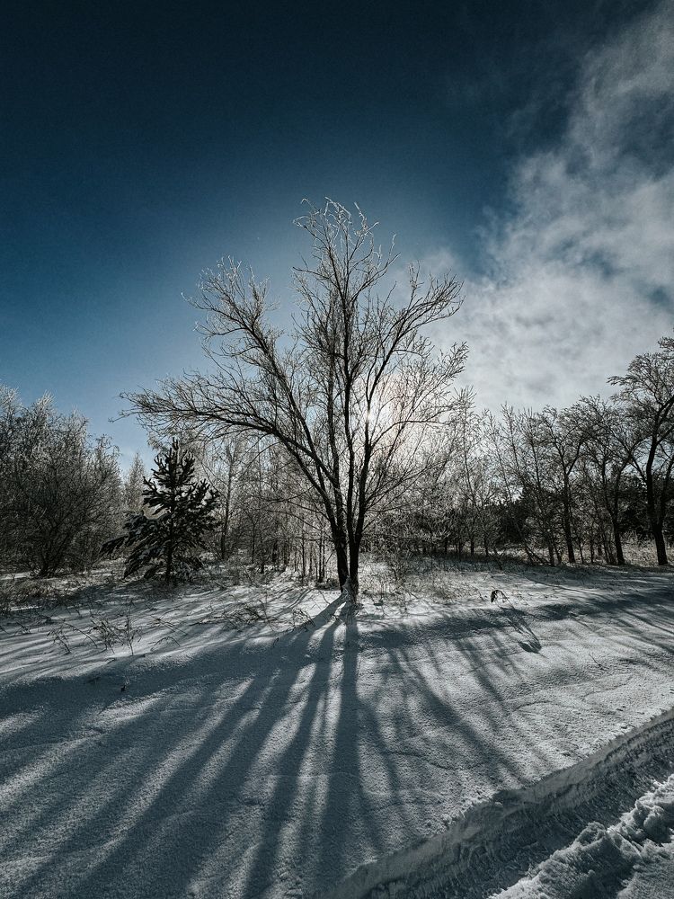 Photograph by Кристина Богомазова