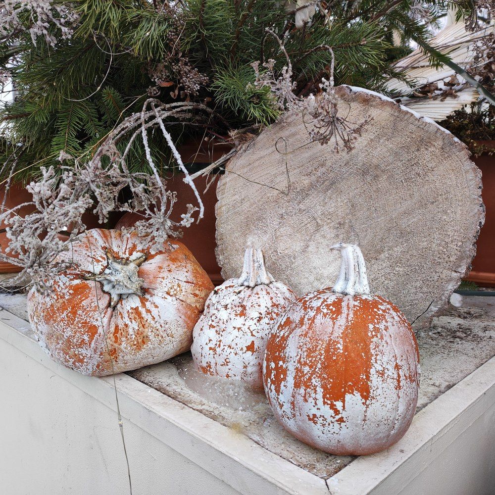 Photograph by Елена Казарина