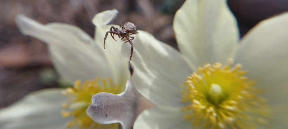 Photograph by Сергей Хранитель