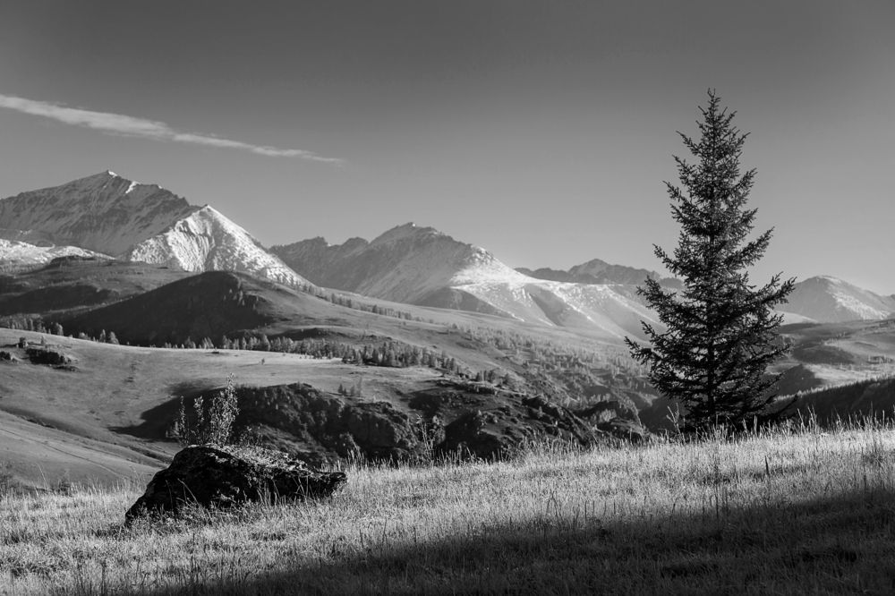 Photograph by виктор ковчин