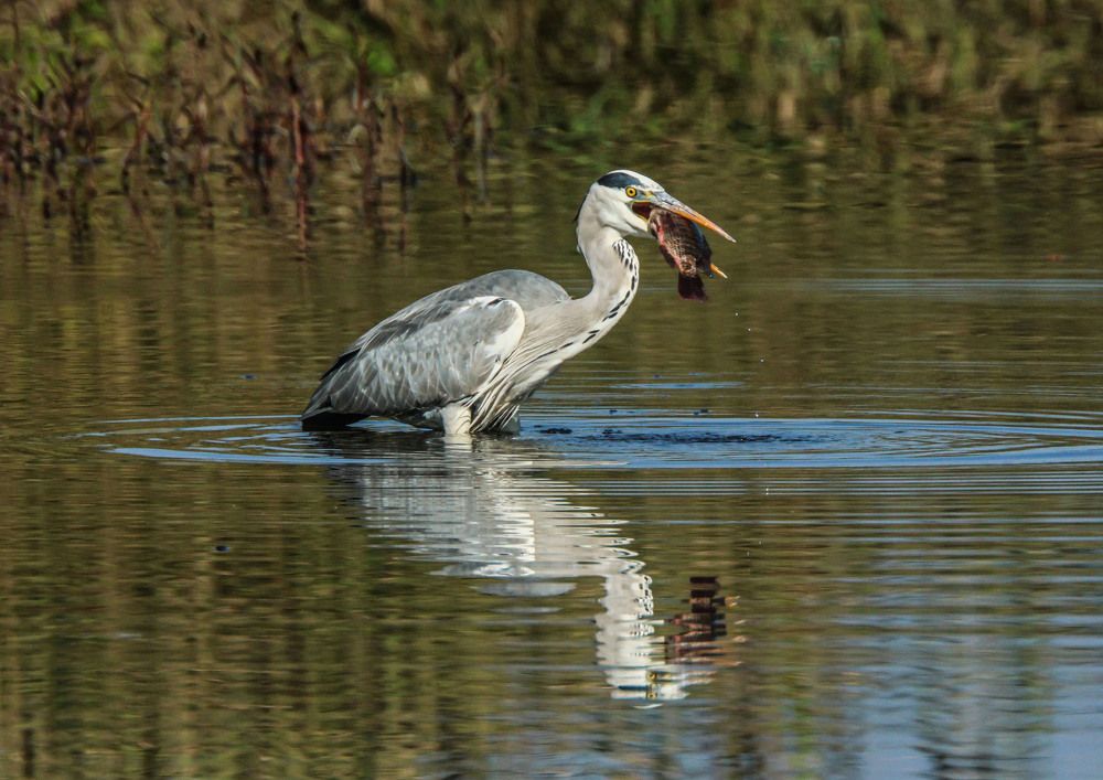 Photograph by Валентина Лопаткина