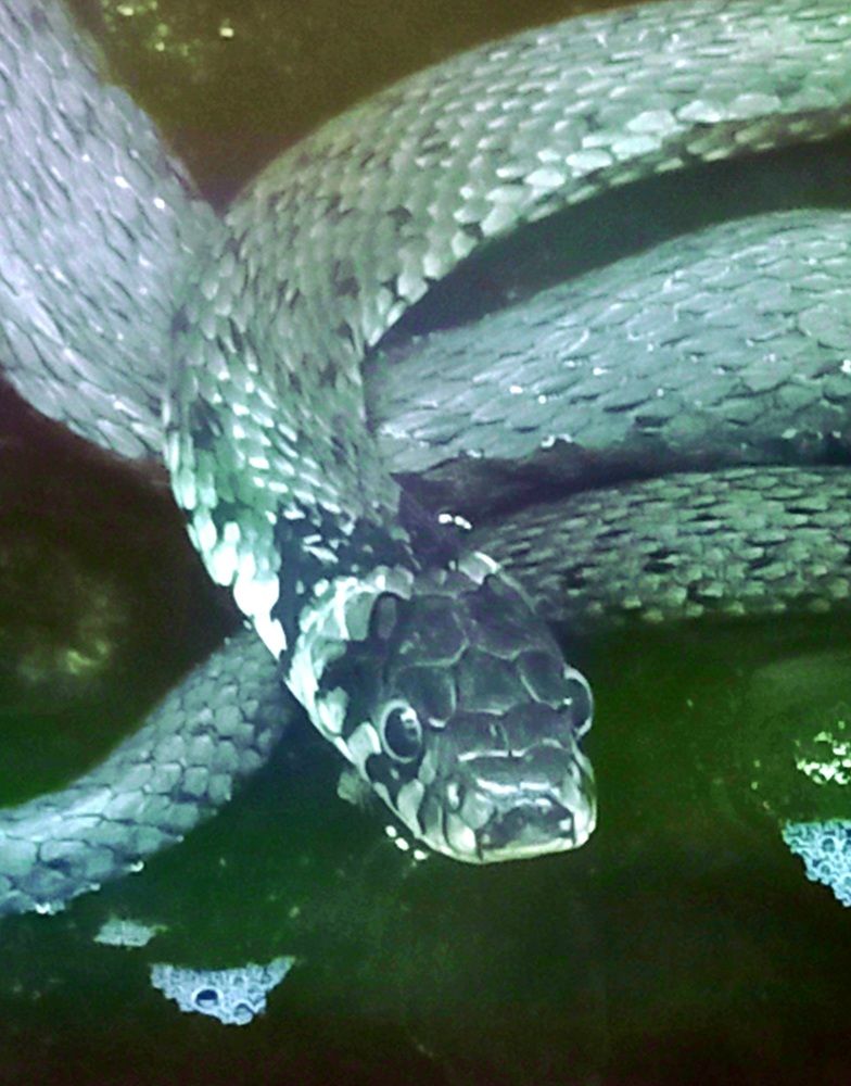 Photograph by Евгений Савулькин