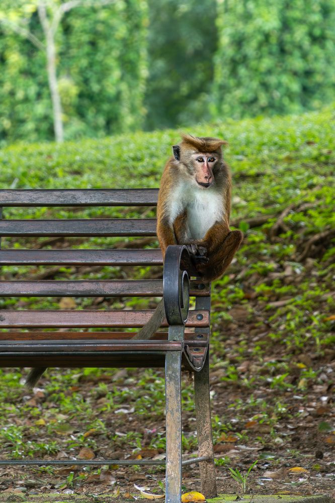 Photograph by Сергей Каменчук