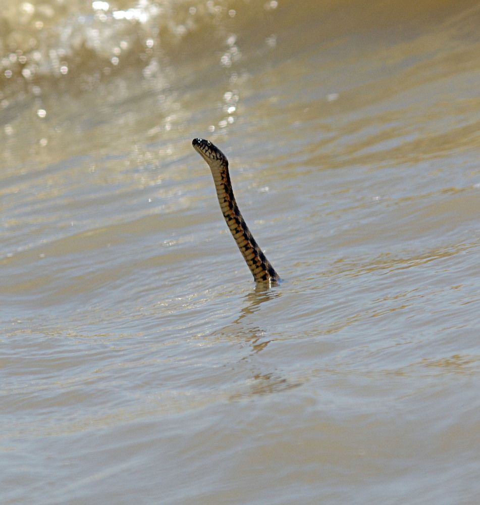 Photograph by Савчук Сергей