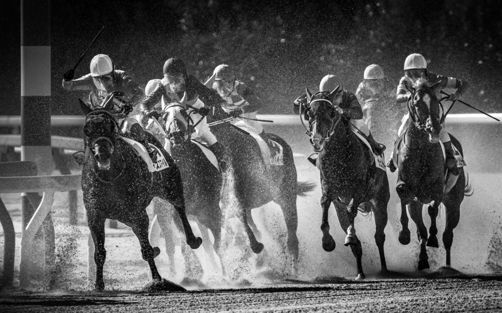 Фотография автора Uesan Aliace