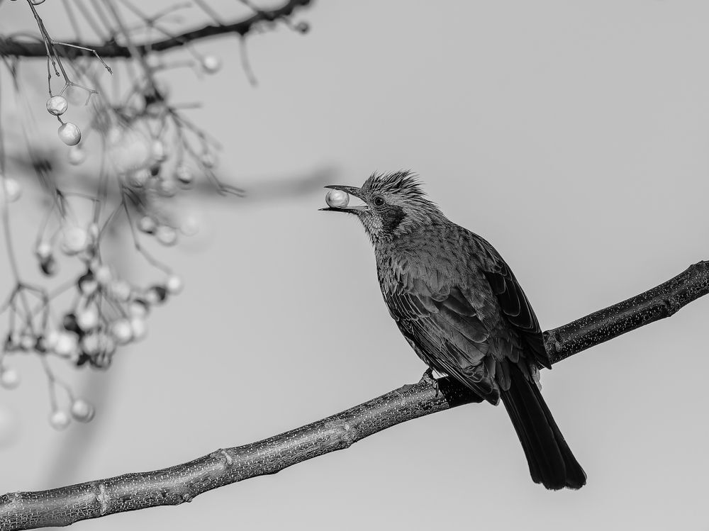 Фотография автора Uesan Aliace