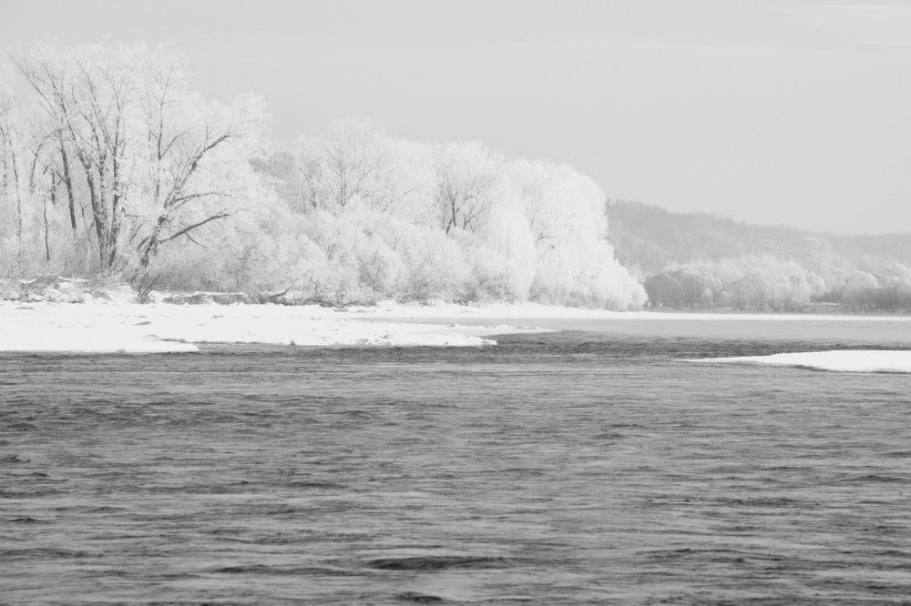 Photograph by Ольга Каминская