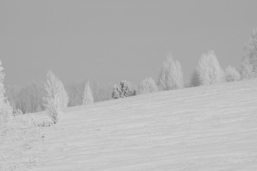 Photograph by Ольга Каминская