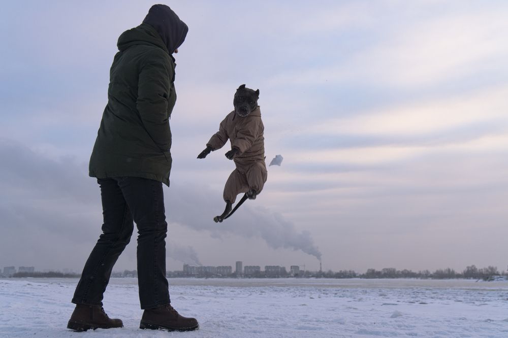 Photograph by Юлия Прончакова-Мойкина