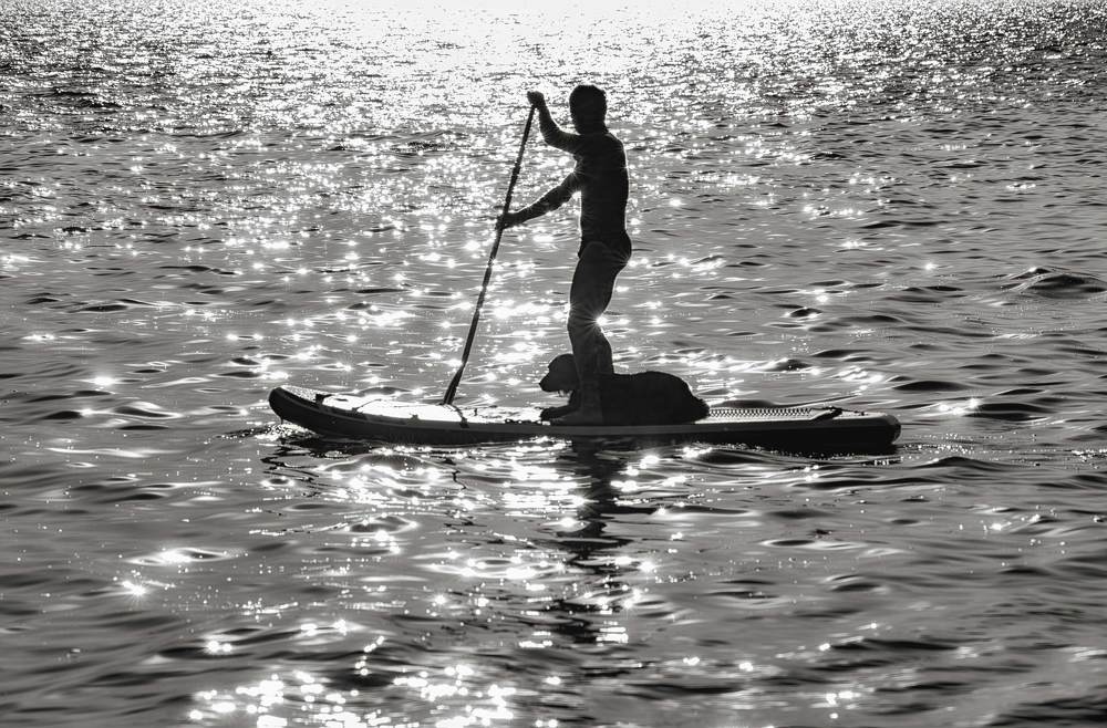 Греби, Хозяин! Греби!