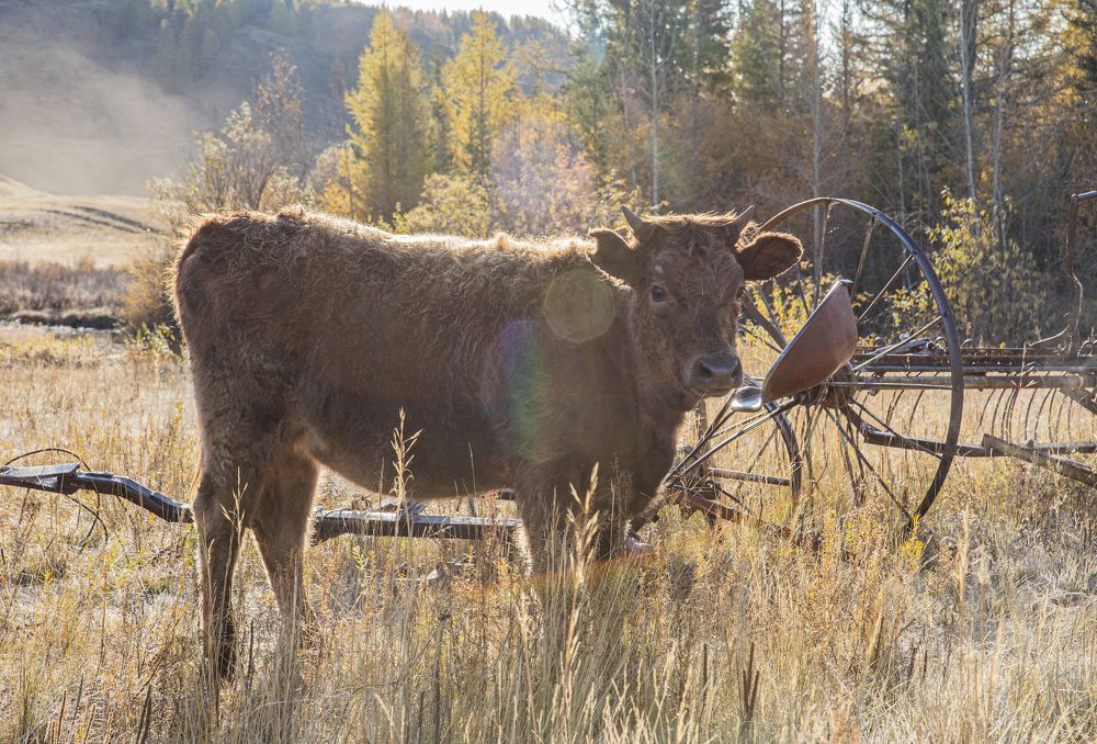 Photograph by Елена Павлова