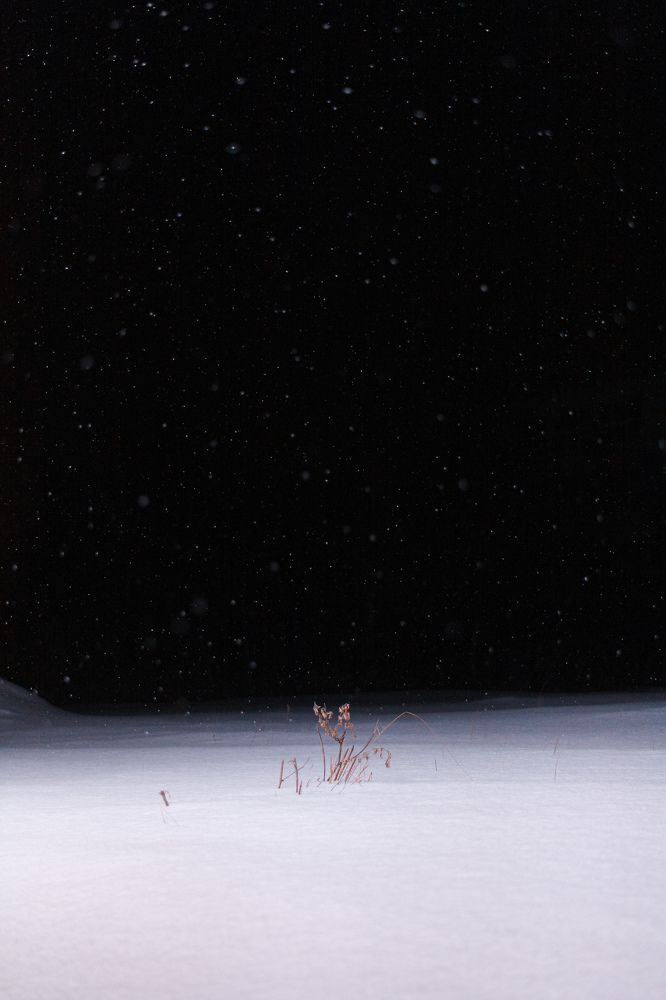 Photograph by Михаил Кудрин