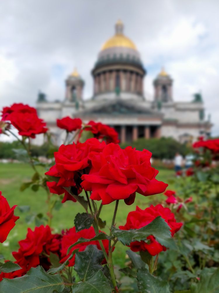 Фотография автора Светлана Дунаева