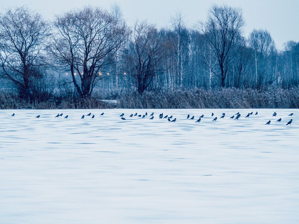 Photograph by Диана Родионова