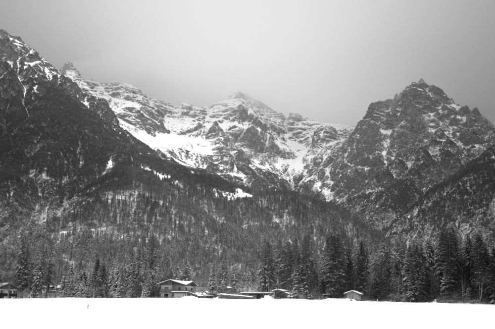 Photograph by Liliana Negoi