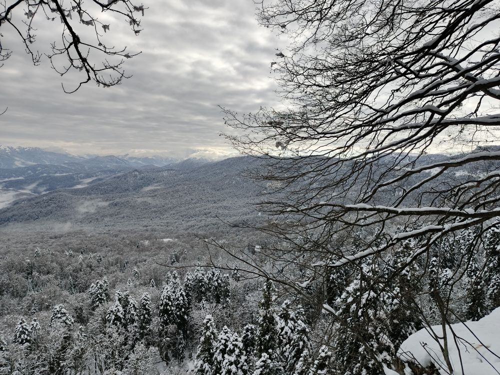 Photo #11599320