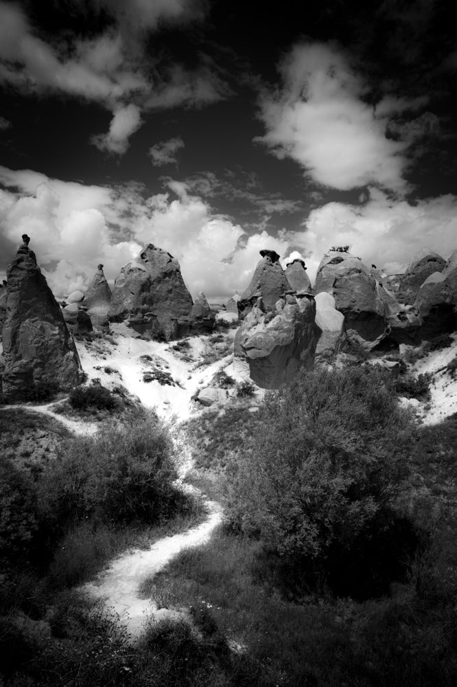 Фотография автора Владимир Барсуков