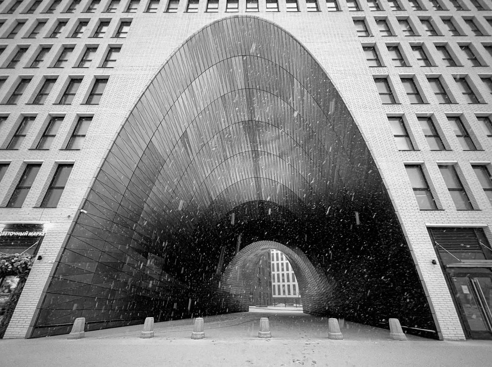 Photograph by Olga Mendosa