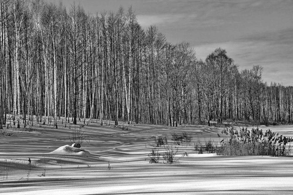 Photograph by Виталий Симоненков