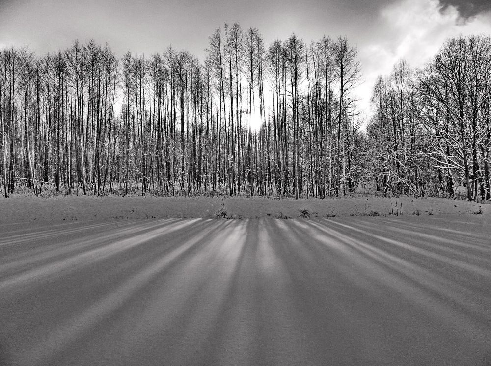 Photograph by Виталий Симоненков