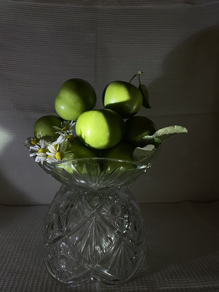 Фотография автора Viktoria