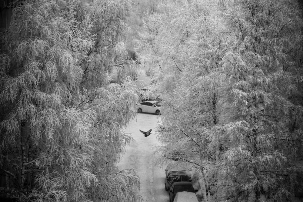 Photograph by Янтарная Елена