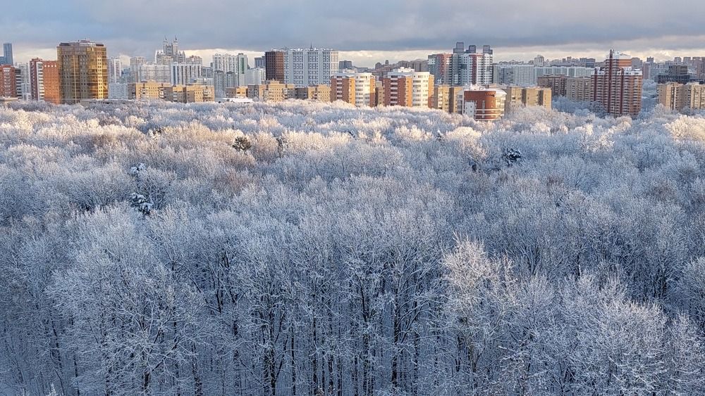 Photograph by Елена Тимченко