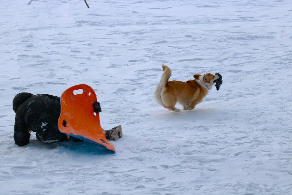 Photograph by Гагик Саркисян