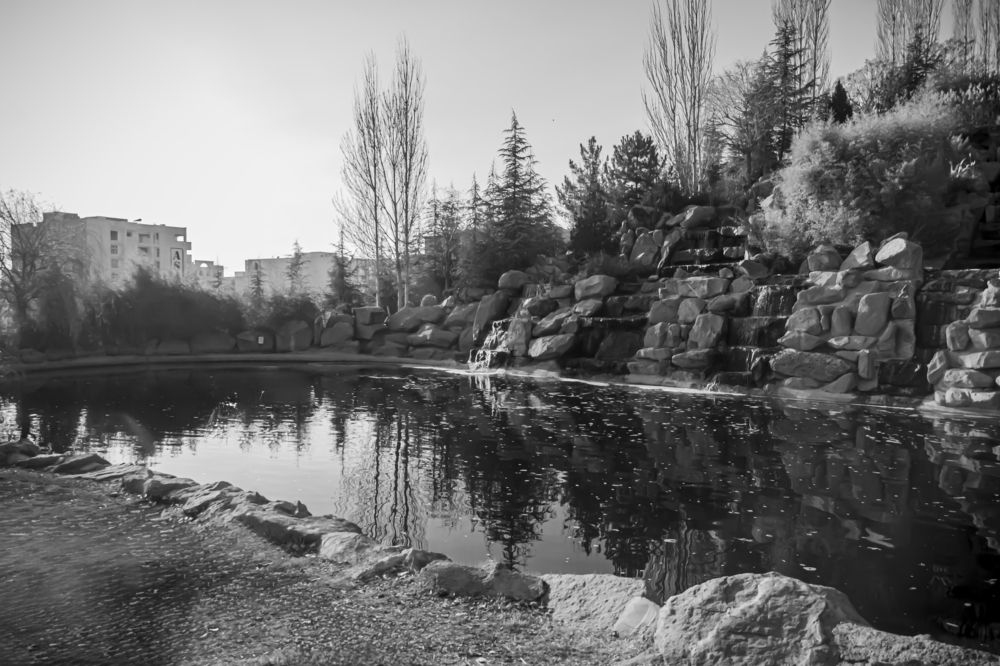 Photograph by Romina Moniri