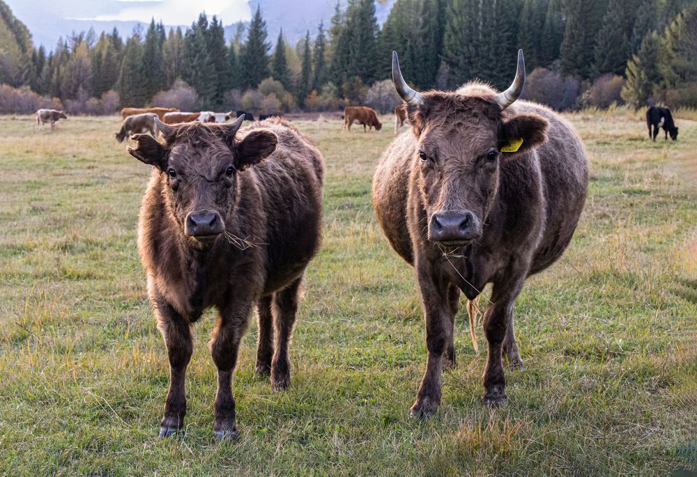 Photograph by Елена Павлова