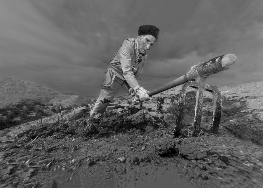 Photograph by Zahr-eddine GUERNICHE