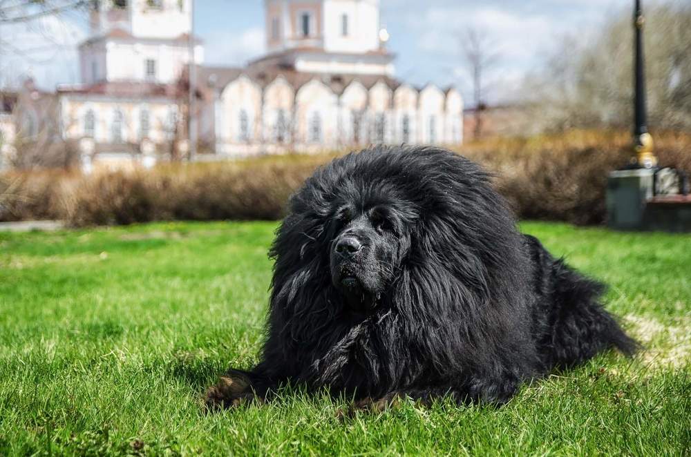 Photograph by Алена Фадеева