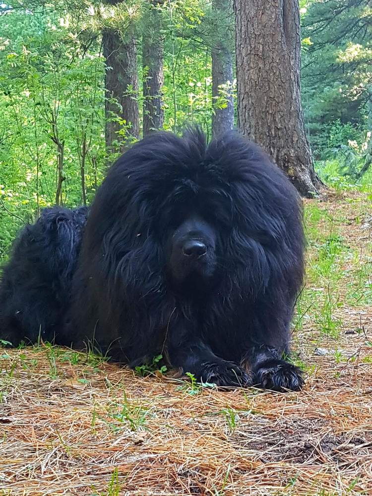 Photograph by Алена Фадеева