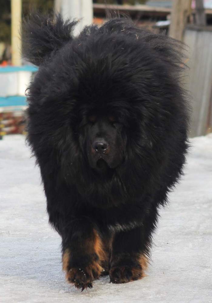 Photograph by Алена Фадеева