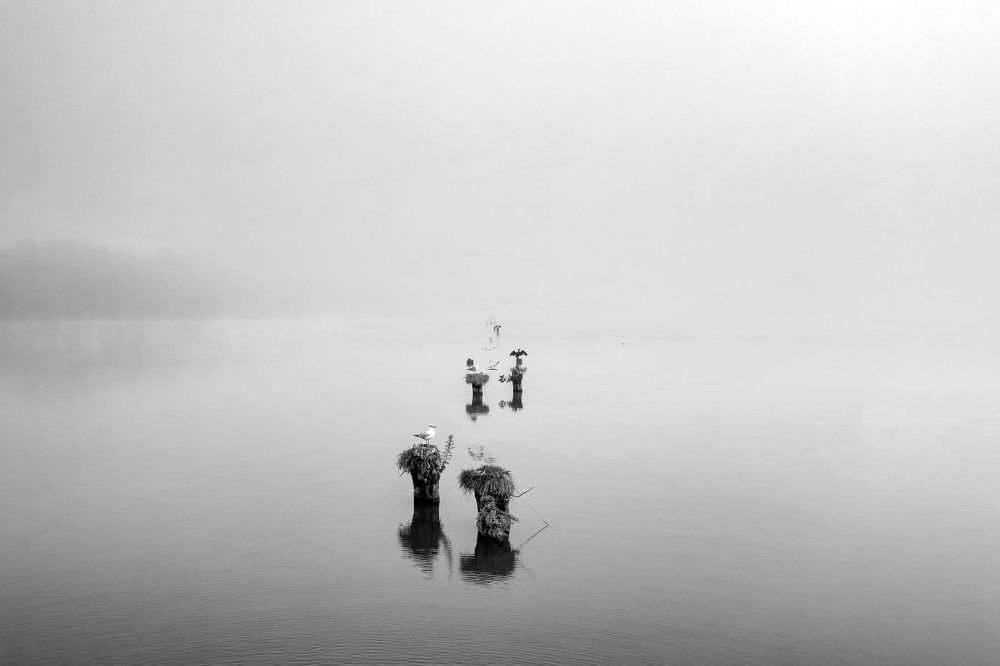 Photograph by Сергей Морозов