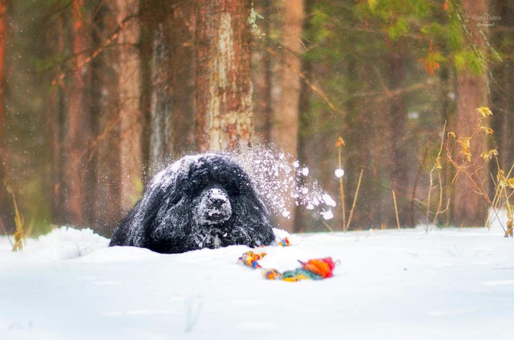 Photograph by Алена Фадеева