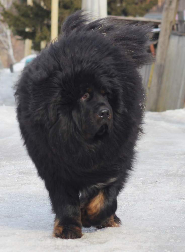 Photograph by Алена Фадеева