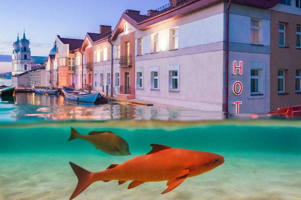 Photograph by Сергей Морозов